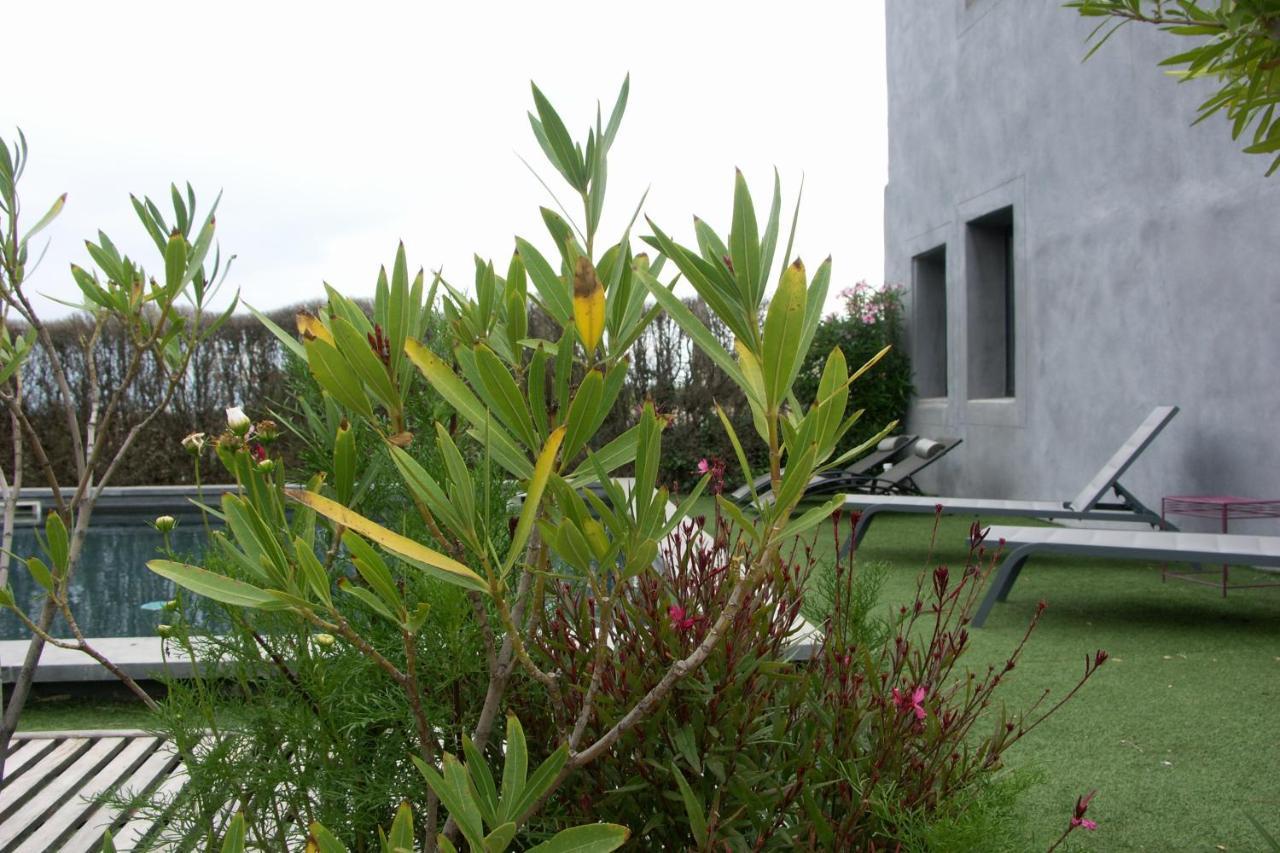 Maison D'Hotes Cote Cour Rasteau Kültér fotó